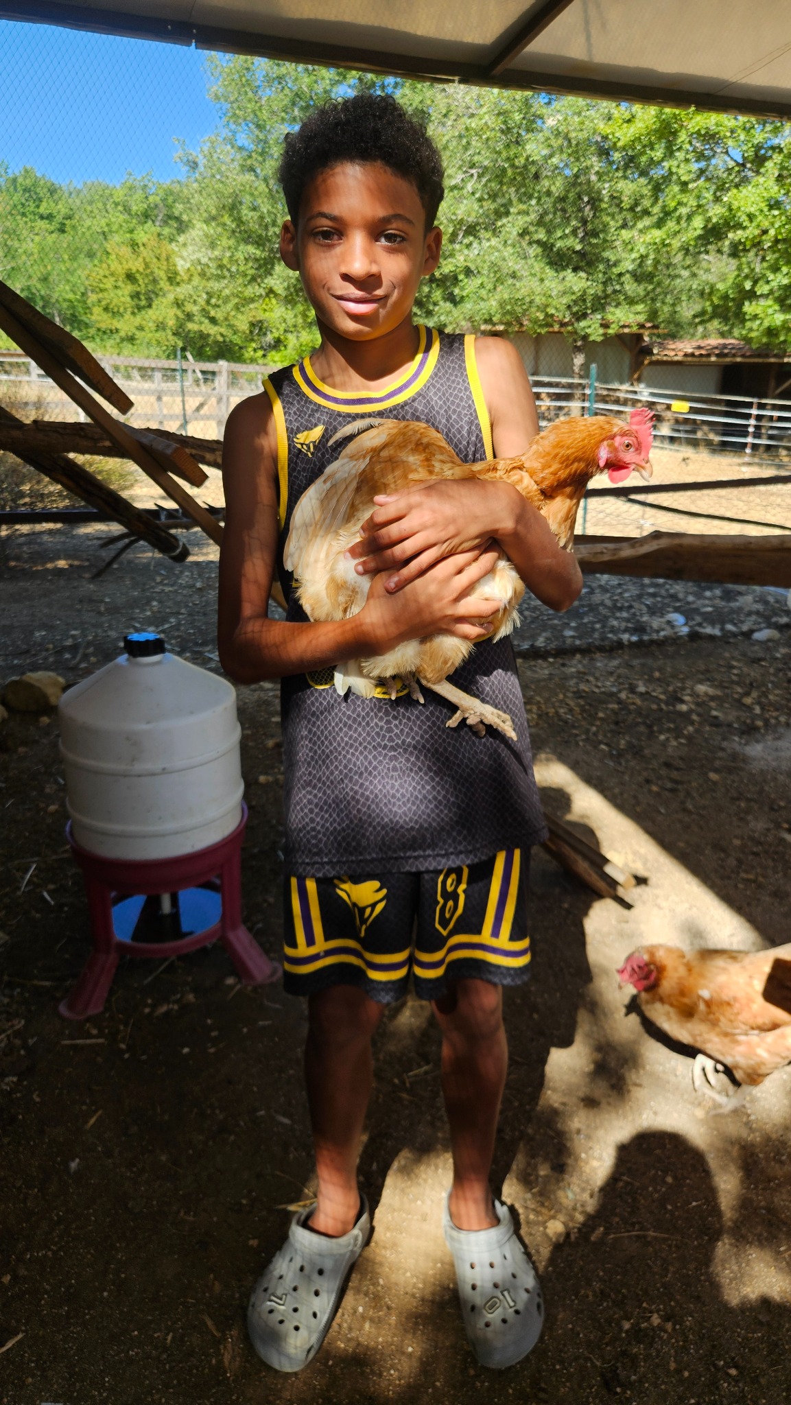Un enfant tient une poule dans la mini-ferme du Camping Ohana