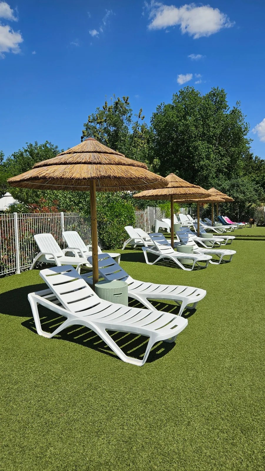 Transats blancs et parasols en bord de piscine, avec la forêt en arrière-plan